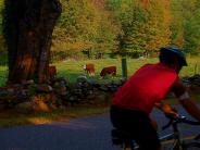 Bicycling in scenic Columbia - by Fischer S. Bessi