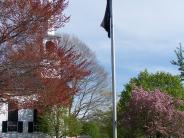 Flag pole on the Town Green - By Barbara Ulkus