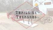 Trailside Treasure